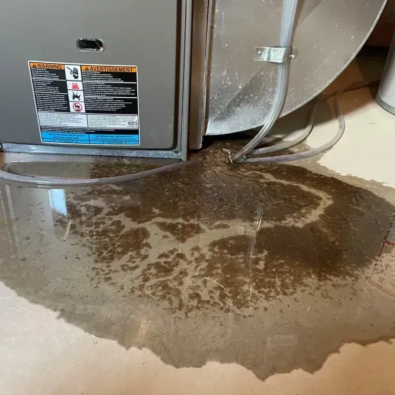 Appliance Leak Cleanup in Wyoming, DE